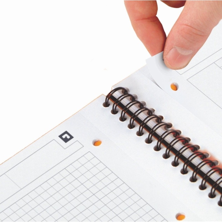 International Activebook A4+ ruled OXFORD - 10