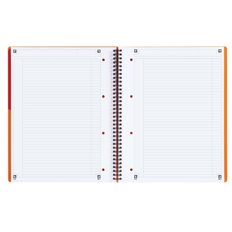 International Activebook A4+ ruled OXFORD - 4