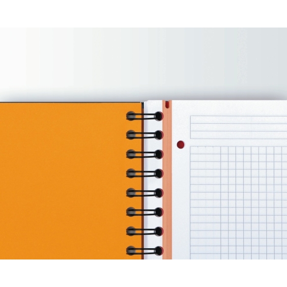 International Filingbook A4+  squared OXFORD - 3