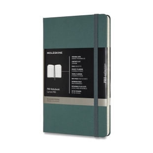 Pro Zápisník L tvrdý zelený MOLESKINE - 1
