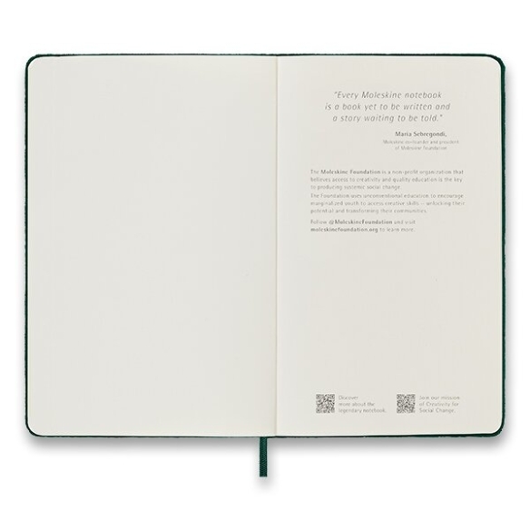 Velvet Zápisník L tvrdý linajkový zelený MOLESKINE - 4