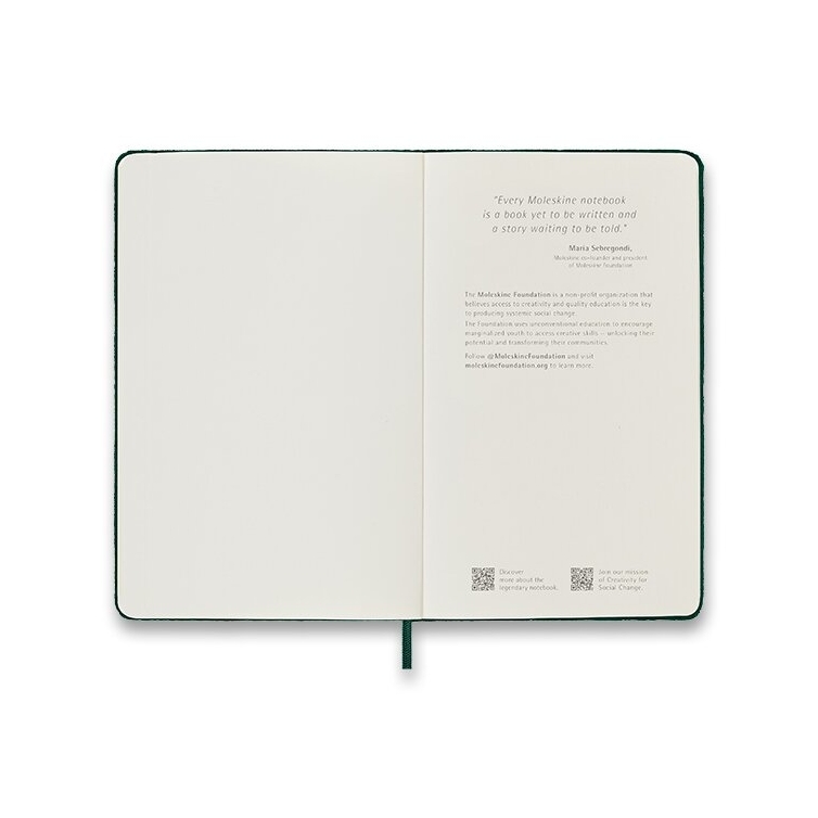 Samtnotizbuch L Hardcover liniert rosa MOLESKINE - 3