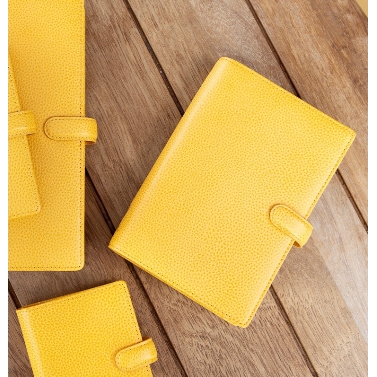Finsbury diár osobný horčicový FILOFAX - 7