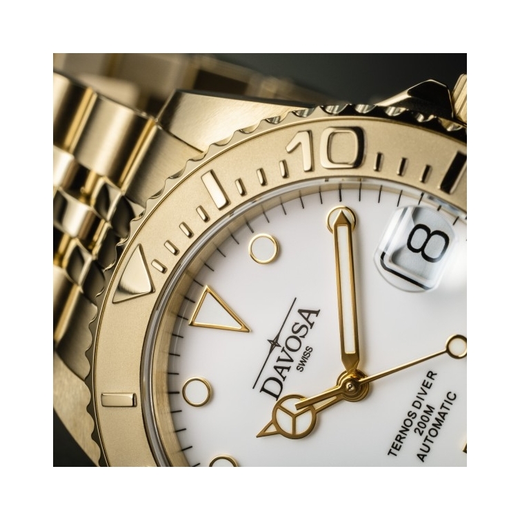 Ternos Medium Automatic watch 166.198.02 DAVOSA - 2