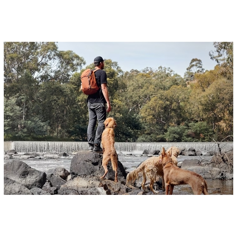 Venture Ready Pack Ruksak bronze BELLROY - 3