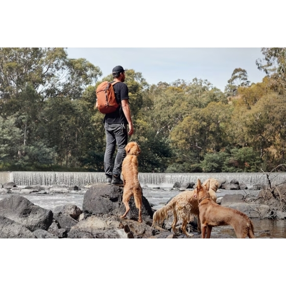 Venture Ready Pack Ruksak bronze BELLROY - 3