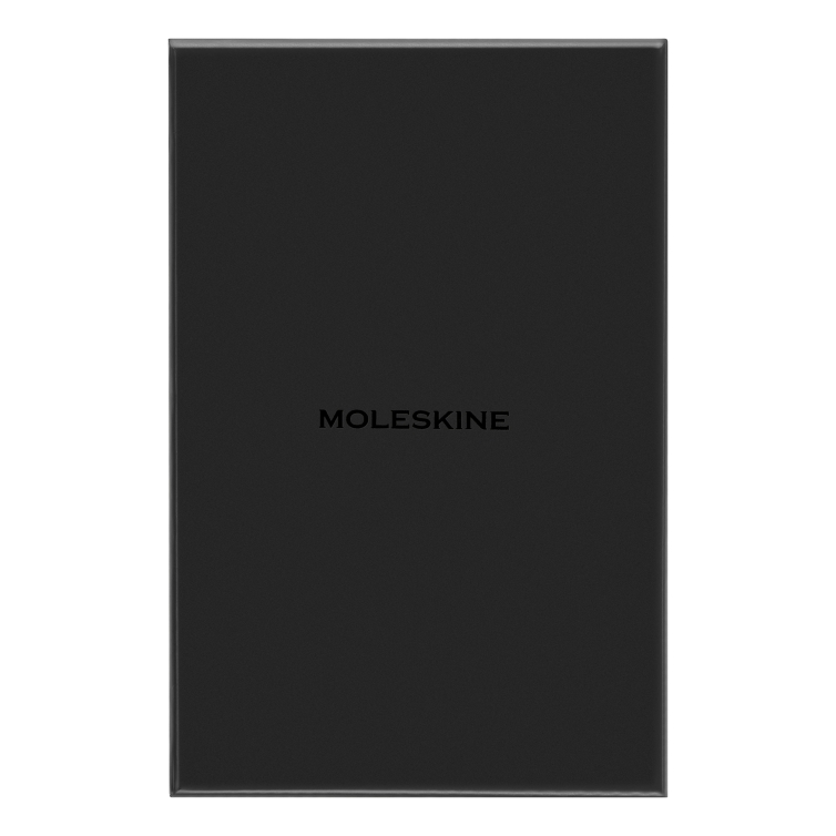 Professional Silk Notebook L hard cover ruled bordeaux MOLESKINE - 4