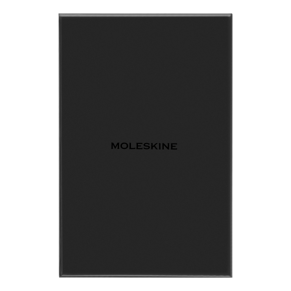 Professional Silk Notebook L hard cover ruled bordeaux MOLESKINE - 4