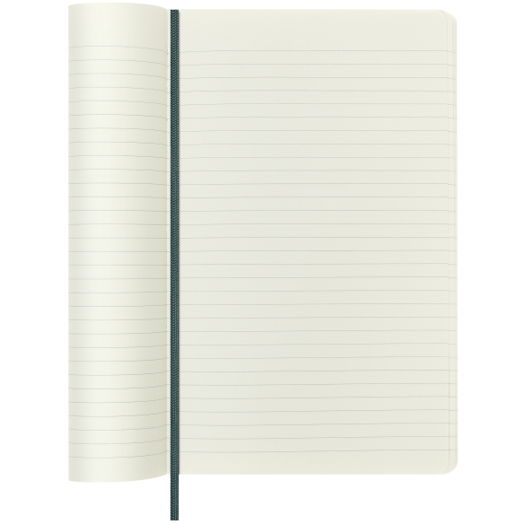 Precious and Ethical Boa Notebook L soft cover ruled green Moleskine - 4