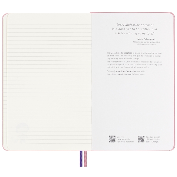 Moleskine Limitovaná edícia Zápisník L linajkový Moleskine - 5