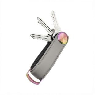 copy of 2.0 Cactus Leather Keychain desert sand Orbitkey - 1